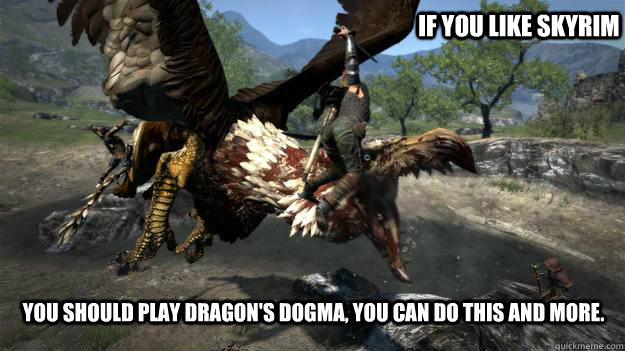 If you like skyrim You should play Dragon's dogma, you can do this and more. - If you like skyrim You should play Dragon's dogma, you can do this and more.  Misc