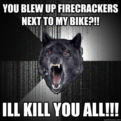 you blew up firecrackers next to my bike?!! ill kill you all!!!  Insanity Wolf