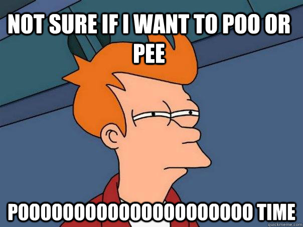 Not sure if i want to poo or pee POOOOOOOOOOOOOOOOOOOOO TIME  Futurama Fry