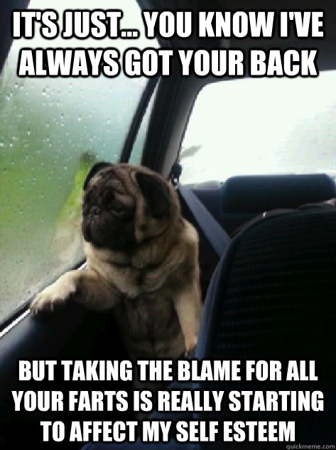 It's just... you know I've always got your back but taking the blame for all your farts is really starting to affect my self esteem - It's just... you know I've always got your back but taking the blame for all your farts is really starting to affect my self esteem  Misc