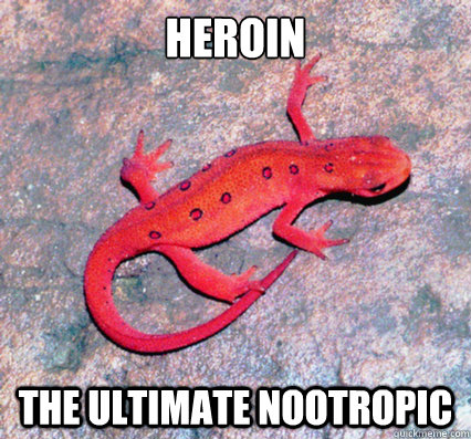 Heroin The ultimate nootropic  Nootropics Newt