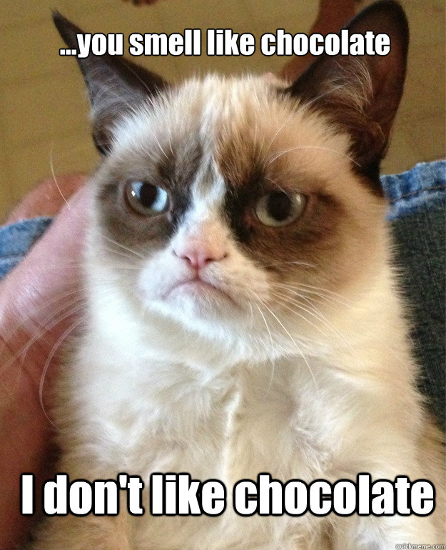...you smell like chocolate I don't like chocolate  Grumpy Cat