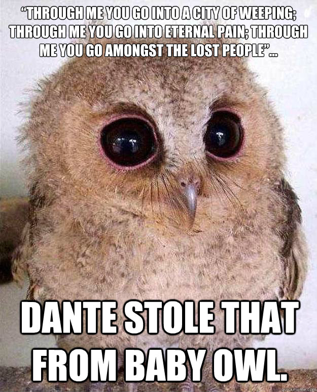 “Through me you go into a city of weeping; through me you go into eternal pain; through me you go amongst the lost people”... Dante stole that from Baby Owl. - “Through me you go into a city of weeping; through me you go into eternal pain; through me you go amongst the lost people”... Dante stole that from Baby Owl.  Baby Owl Dante