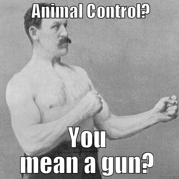           ANIMAL CONTROL?          YOU MEAN A GUN? overly manly man