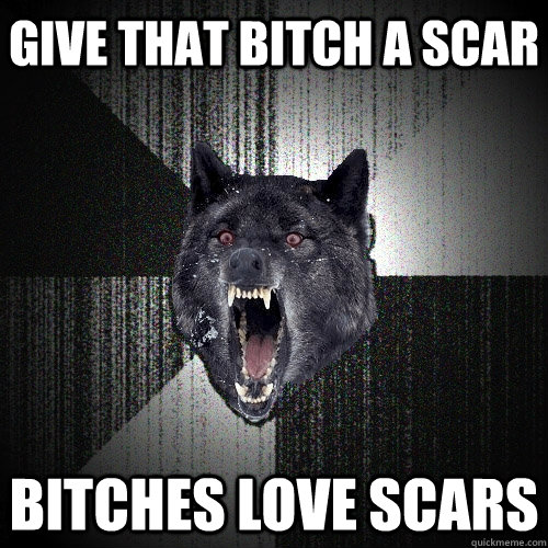 give that bitch a scar bitches love scars  Insanity Wolf