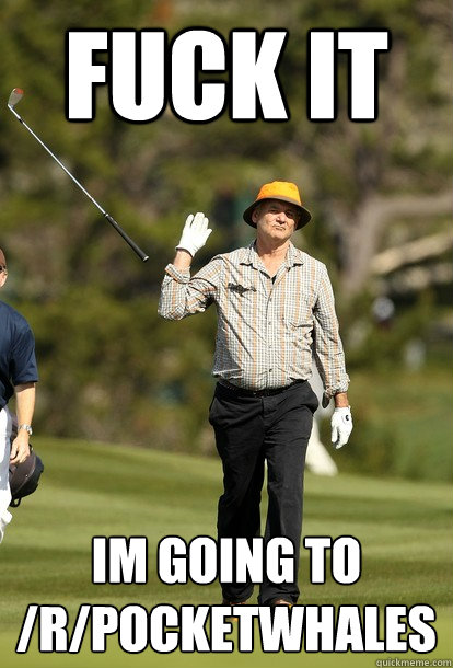 fuck it Im going to /r/pocketwhales  fuck it bill murray