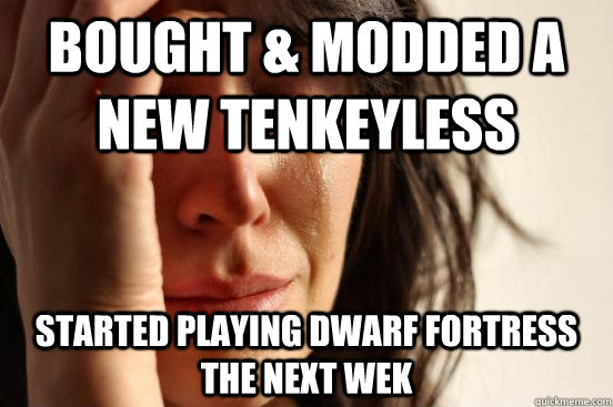 bought & modded a new tenkeyless started playing dwarf fortress the next wek  First World Problems