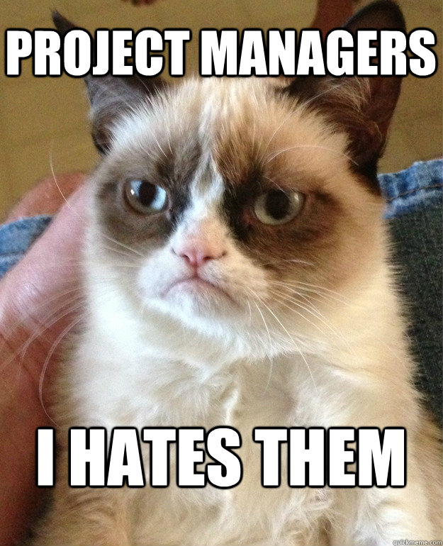 Project Managers I hates them  Grumpy Cat