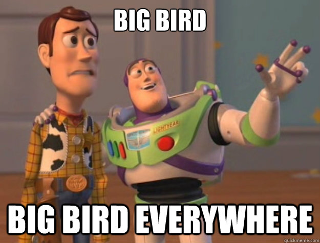 big bird big bird everywhere  Buzz Lightyear