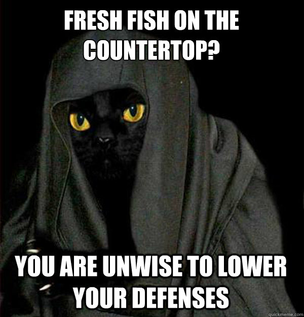 Fresh fish on the countertop? you are unwise to lower your defenses  