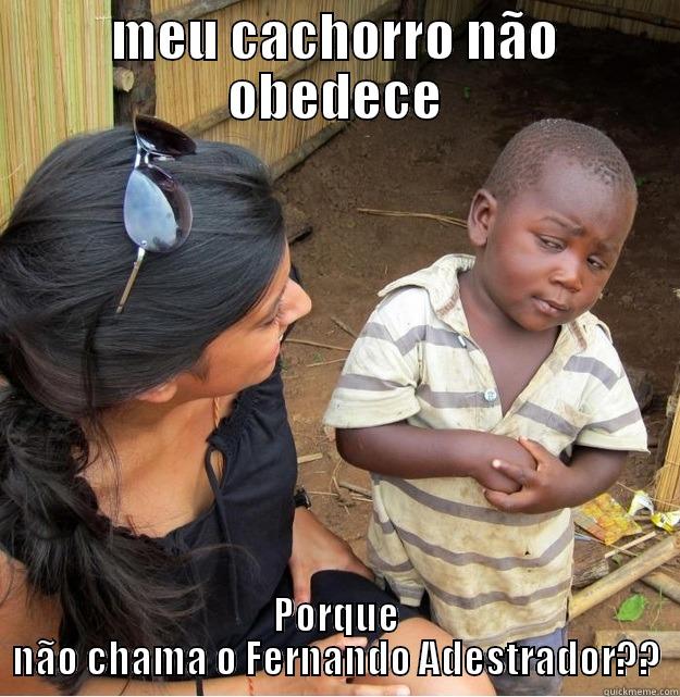 MEU CACHORRO NÃO OBEDECE PORQUE NÃO CHAMA O FERNANDO ADESTRADOR?? Skeptical Third World Kid