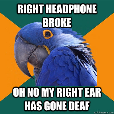 right headphone broke  oh no my right ear has gone deaf   Paranoid Parrot