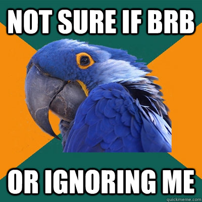 Not Sure if BRB Or Ignoring me  Paranoid Parrot