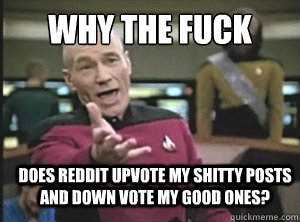 WHY THE FUCK dOES REDDIT UPVOTE MY SHITTY POSTS AND DOWN VOTE MY GOOD ONES?  Annoyed Picard