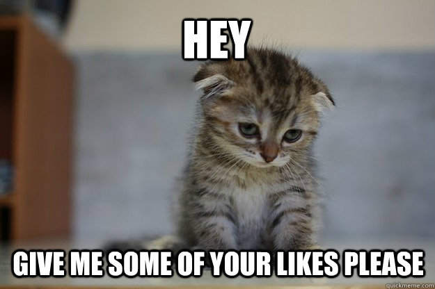 hey give me some of your likes please  Sad Kitten