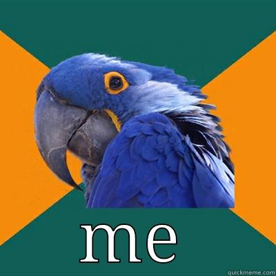 ME Paranoid Parrot