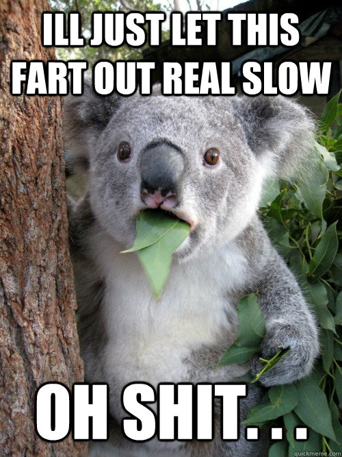 ill just let this fart out real slow oh shit. . . - ill just let this fart out real slow oh shit. . .  Surprised Koala
