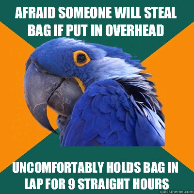 Afraid someone will steal bag if put in overhead compartment Uncomfortably holds bag in lap for 9 straight hours  Paranoid Parrot