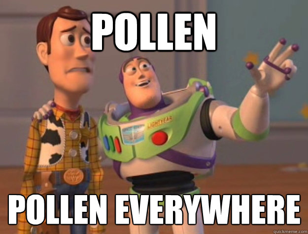 pollen pollen everywhere
 - pollen pollen everywhere
  Buzz Lightyear
