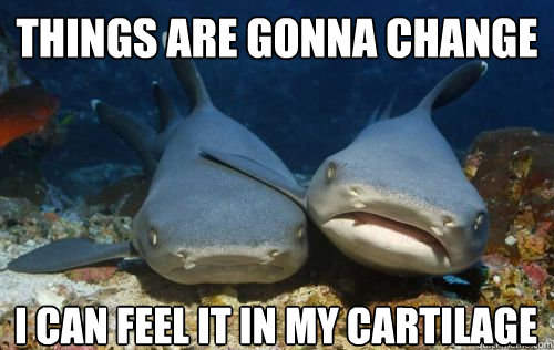 Things are gonna change I can feel it in my cartilage  Compassionate Shark Friend