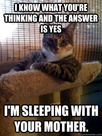 I know what you're thinking and the answer is YES i'm sleeping with your mother.  The Most Interesting Cat in the World