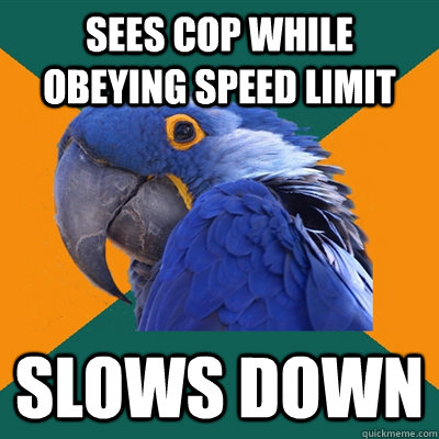 sees cop while obeying speed limit slows down  Paranoid Parrot