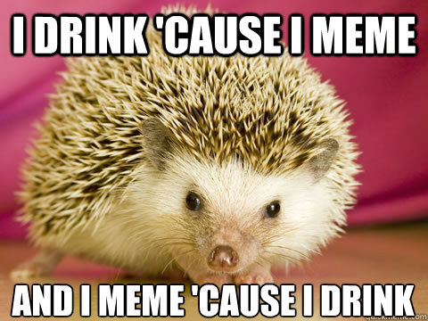 I drink 'cause I meme and I meme 'cause I drink
  