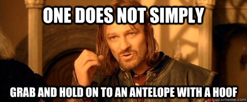 One does not simply grab and hold on to an antelope with a hoof  One Does Not Simply