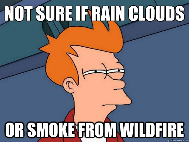 Not sure if rain clouds Or smoke from wildfire - Not sure if rain clouds Or smoke from wildfire  Futurama Fry