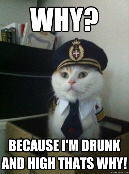 WHy? Because I'm drunk and high thats why!  Captain kitteh