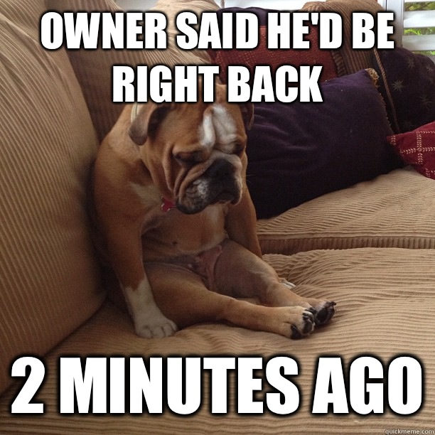 Owner said he'd be right back 2 minutes ago - Owner said he'd be right back 2 minutes ago  depressed dog