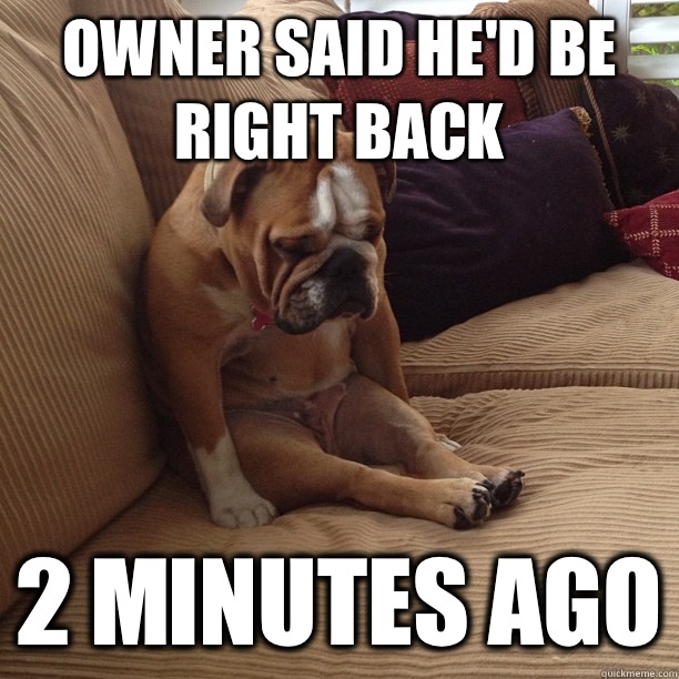Owner said he'd be right back 2 minutes ago  depressed dog