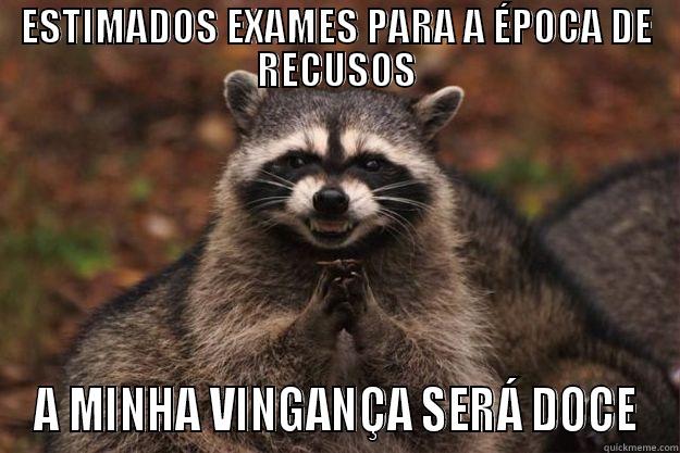 ESTIMADOS EXAMES PARA A ÉPOCA DE RECUSOS A MINHA VINGANÇA SERÁ DOCE Evil Plotting Raccoon