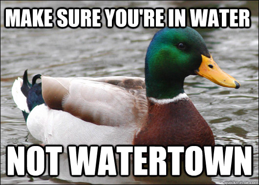 make sure you're in water not watertown  Actual Advice Mallard