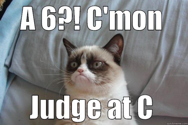 A 6?! C'MON JUDGE AT C Grumpy Cat
