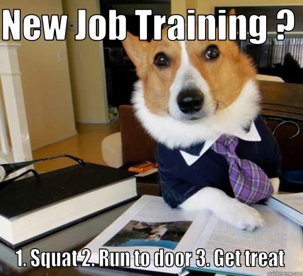 NEW JOB TRAINING ?  1. SQUAT 2. RUN TO DOOR 3. GET TREAT Lawyer Dog