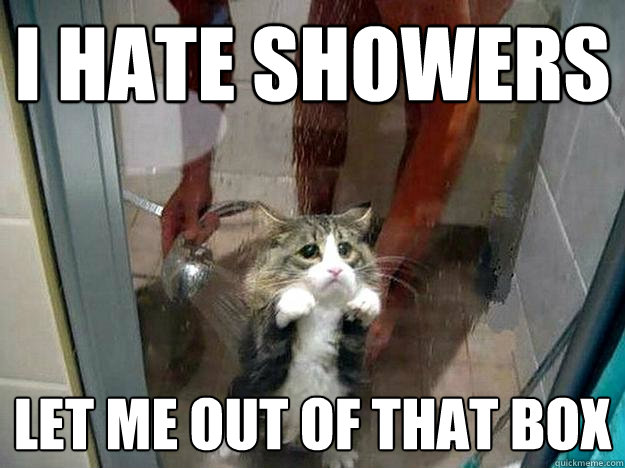 I HATE SHOWERS LET ME OUT OF THAT BOX  Shower kitty