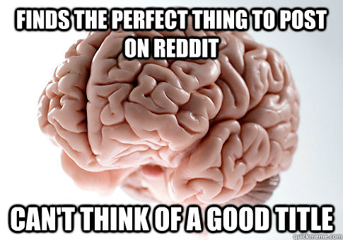 finds the perfect thing to post on reddit can't think of a good title  Scumbag Brain