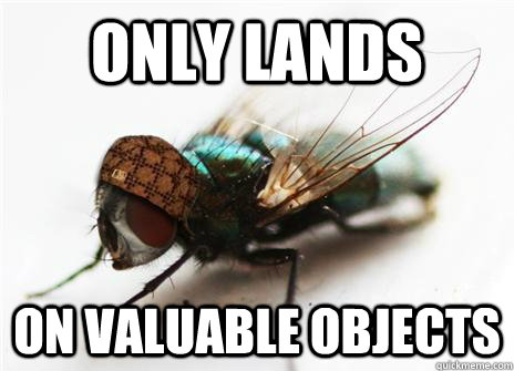 Only lands on valuable objects  Scumbag Fly