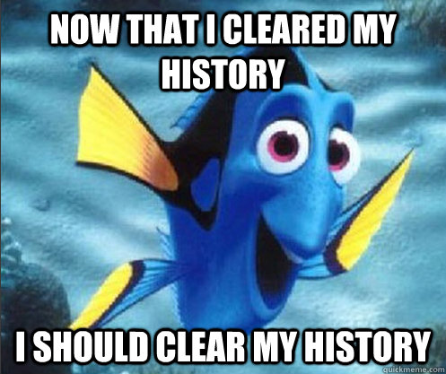 Now that i cleared my history I should clear my history - Now that i cleared my history I should clear my history  optimistic dory