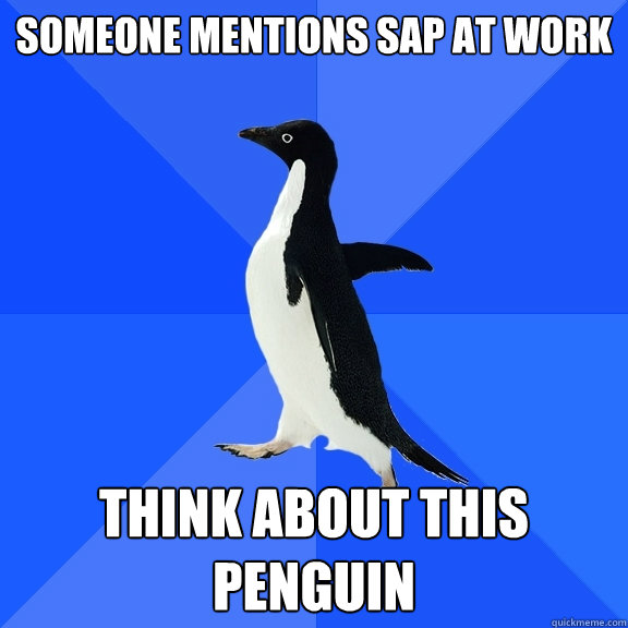 Someone mentions SAP at work Think about this penguin  Socially Awkward Penguin