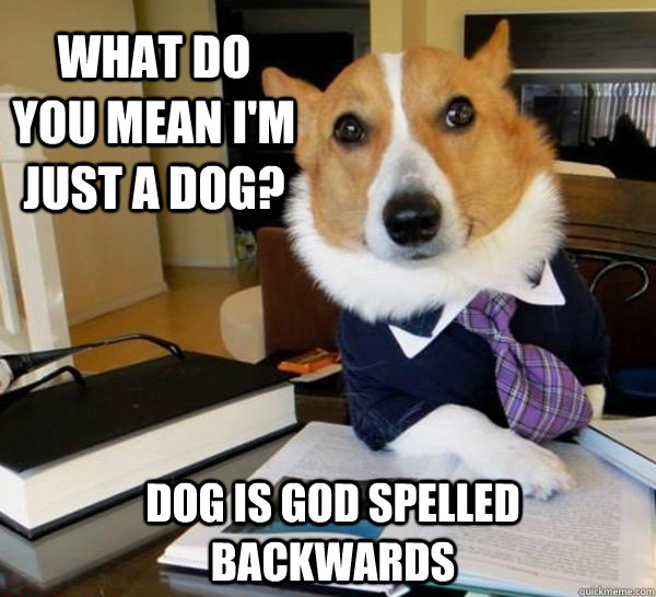 What do you mean I'm just a DOG? DOG is GOD spelled backwards  - What do you mean I'm just a DOG? DOG is GOD spelled backwards   Lawyer Dog