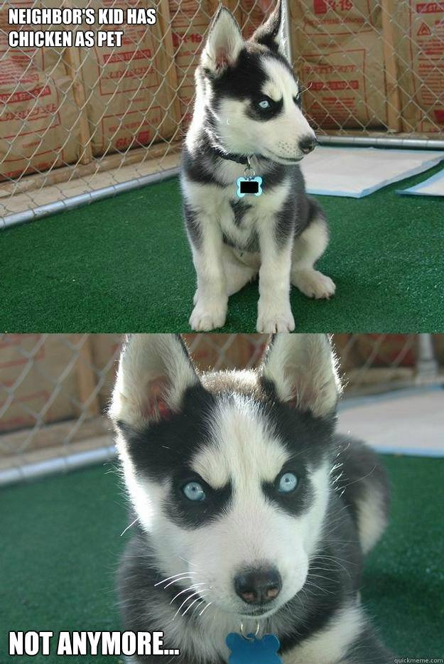Neighbor's kid has
Chicken as pet
 Not anymore...  Insanity puppy