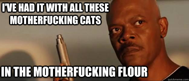 I've had it with all these motherfucking cats in the motherfucking flour  Snakes on a Plane Sammy Jackson