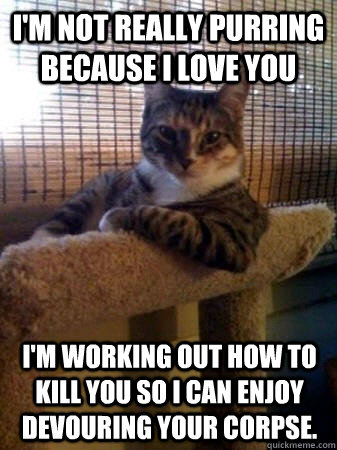 I'm not really purring because I love you I'm working out how to kill you so I can enjoy devouring your corpse.  The Most Interesting Cat in the World