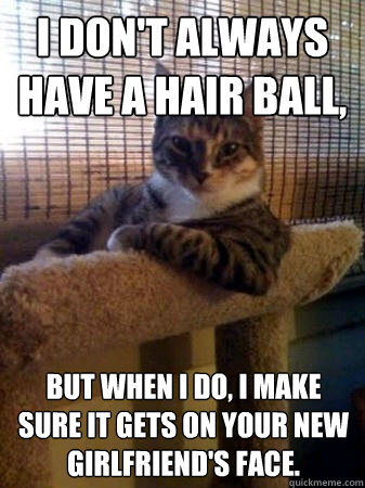 I don't always have a hair ball, but when I do, I make sure it gets on your new girlfriend's face.  The Most Interesting Cat in the World