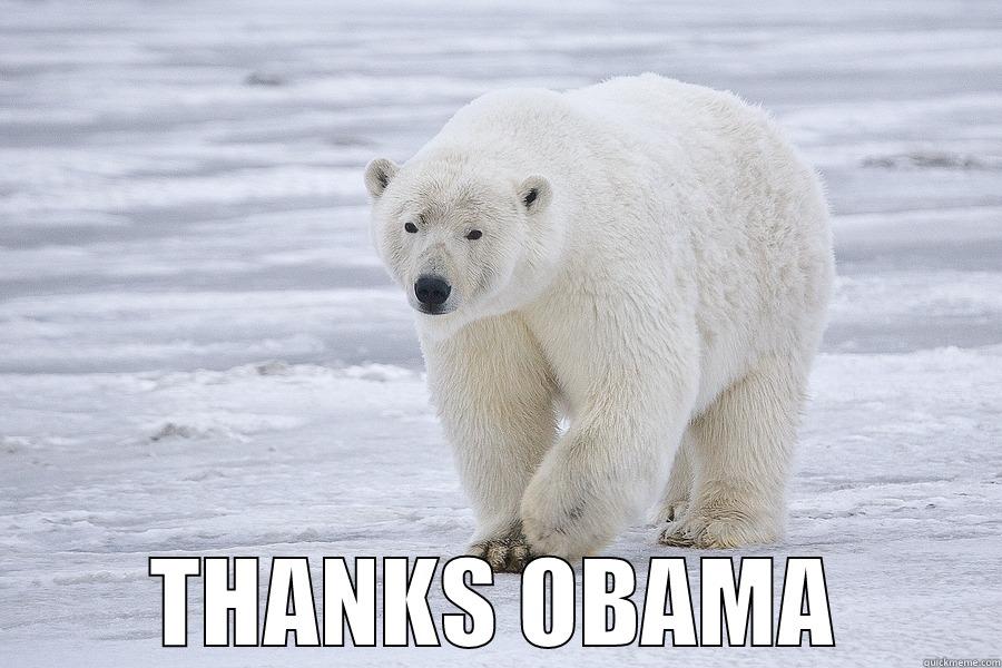  THANKS OBAMA Misc