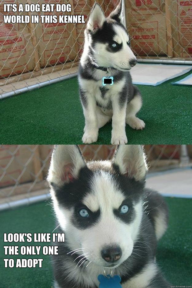 It's a dog eat dog
world in this kennel Look's like I'm
the only one
to adopt  Insanity puppy