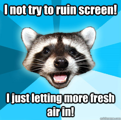 I not try to ruin screen! I just letting more fresh air in!  Lame Pun Coon