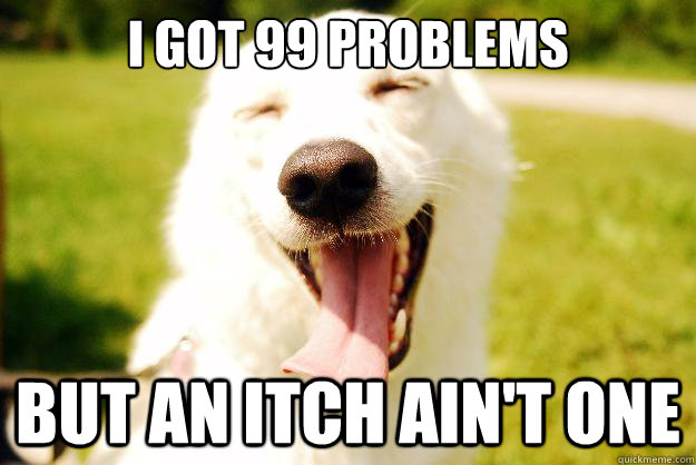 I got 99 problems but an itch ain't one  Happy dog